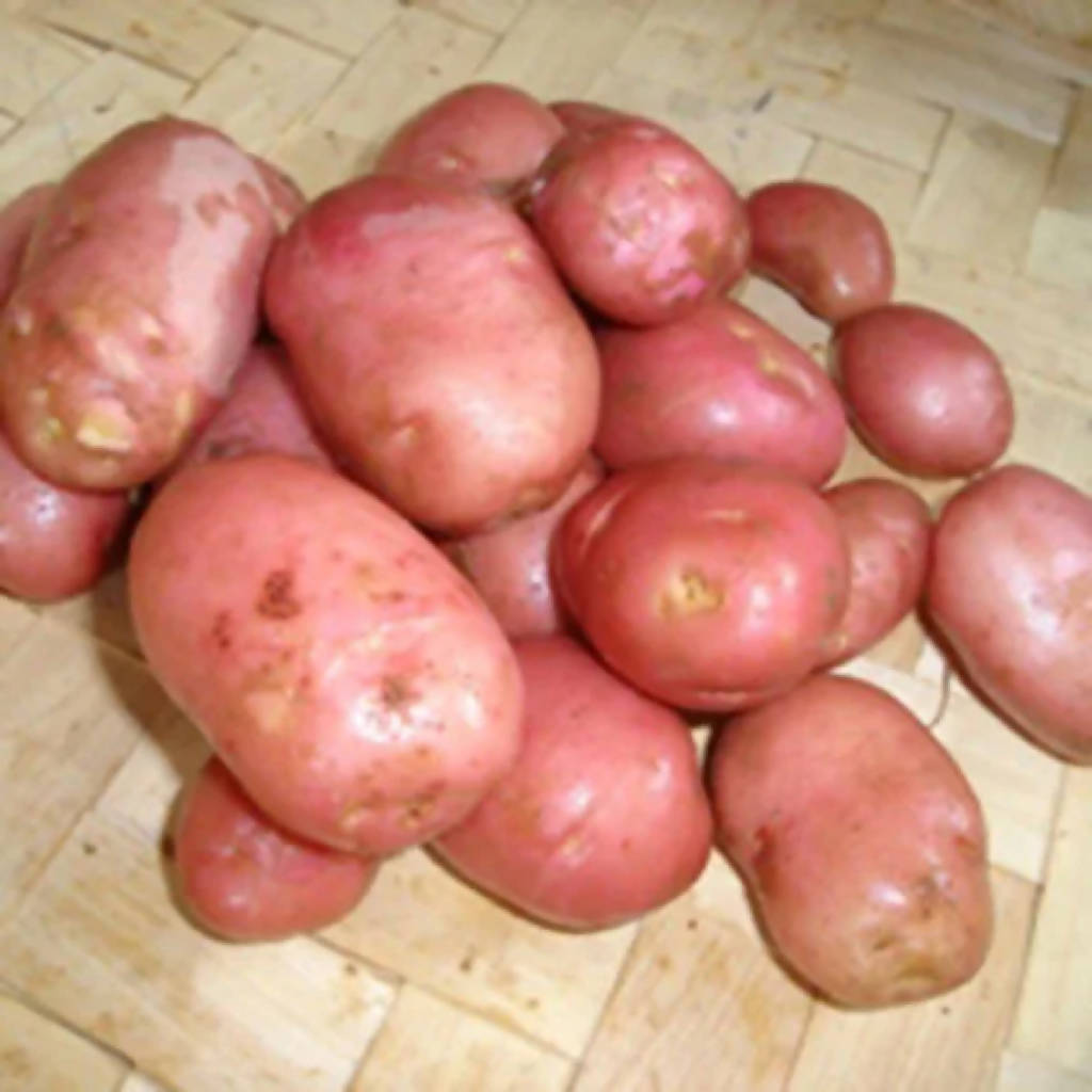 Desiree Potatoes sold loose/priced per Kg